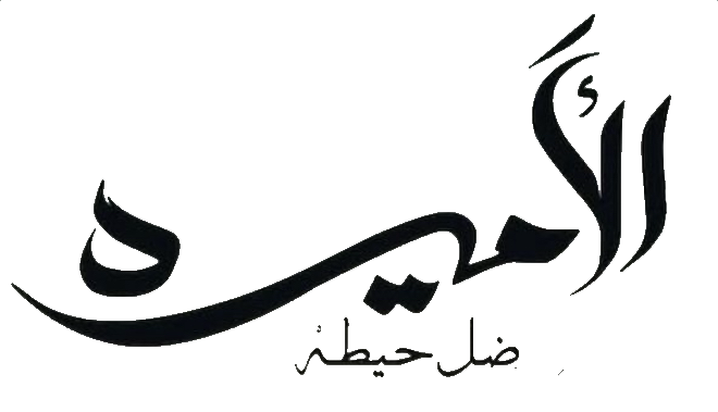 مسلسل الاميرة: ضل حيطة – الحلقة 6 السادسة